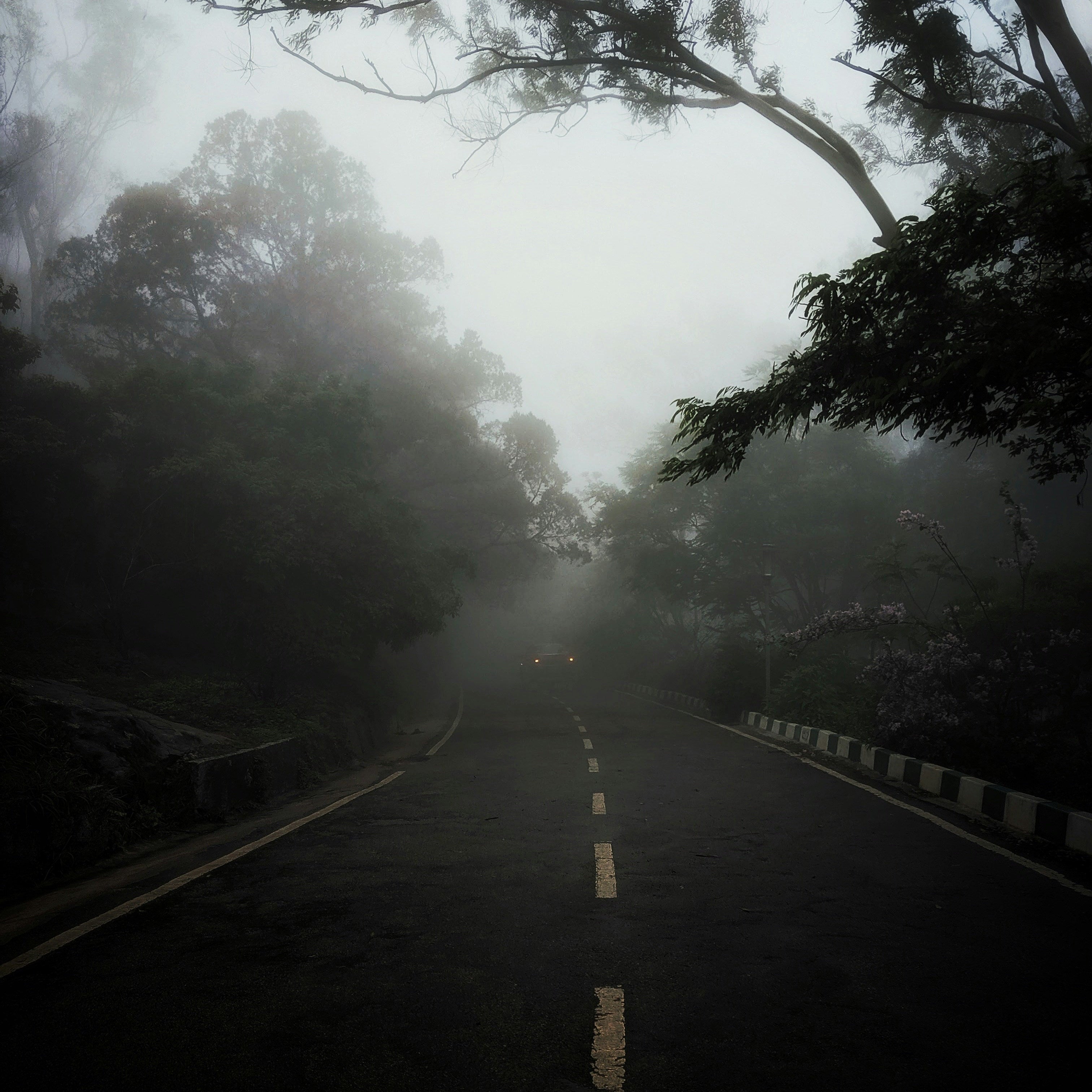 Career Fog Is Normal