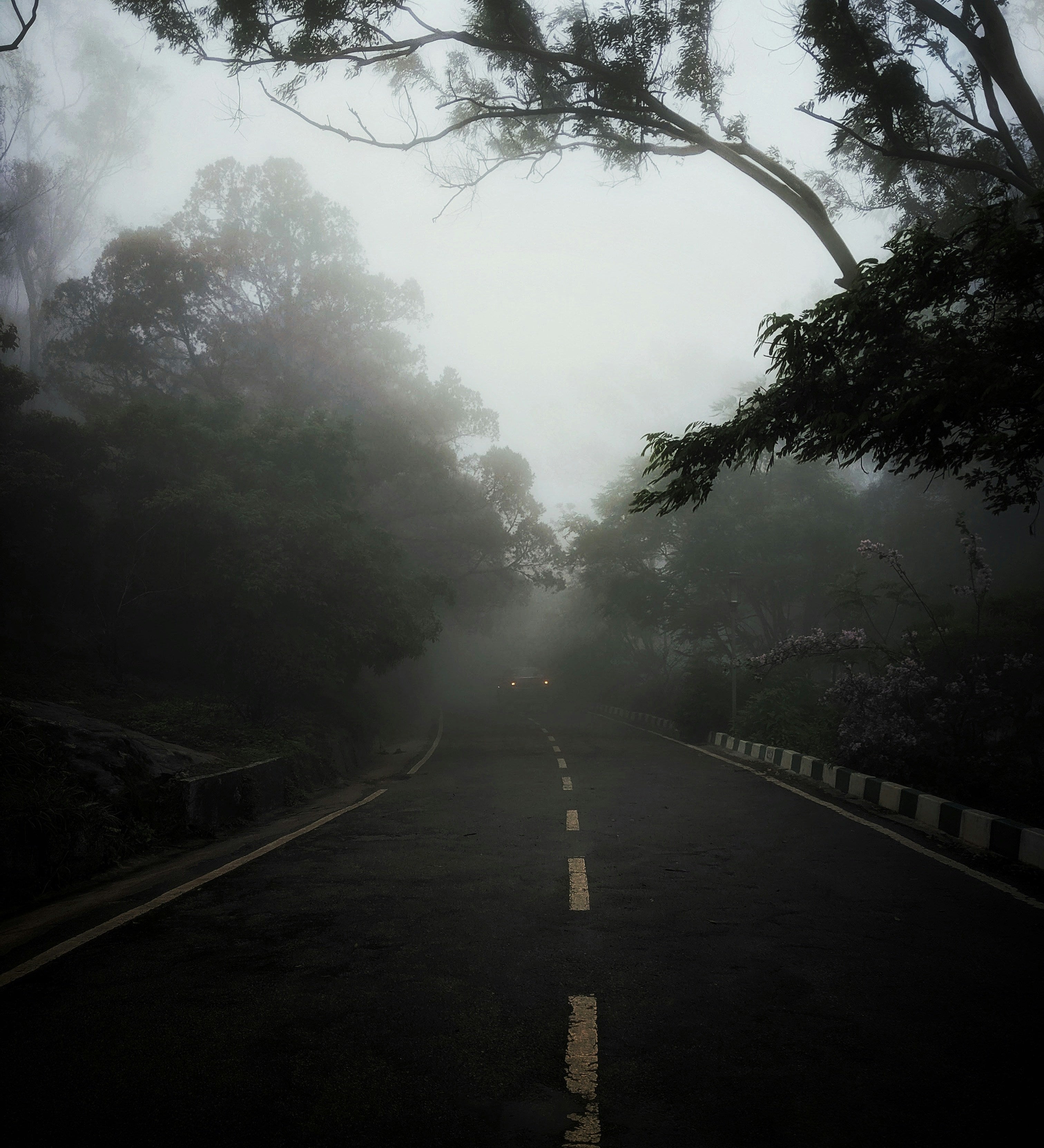 Career Fog Is Normal